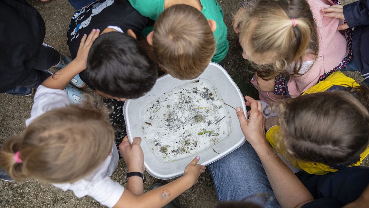 Blaues Klassenzimmer am Hahnenbach